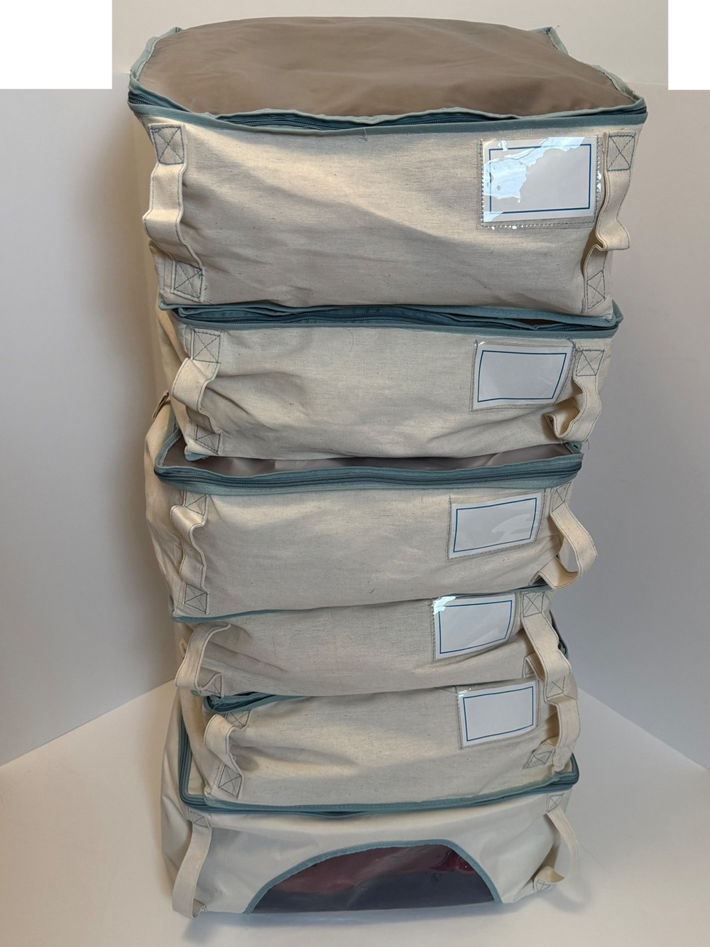 6 Canvas Zippered Storage Bags by Real Simple - 1 Large and 5 Medium